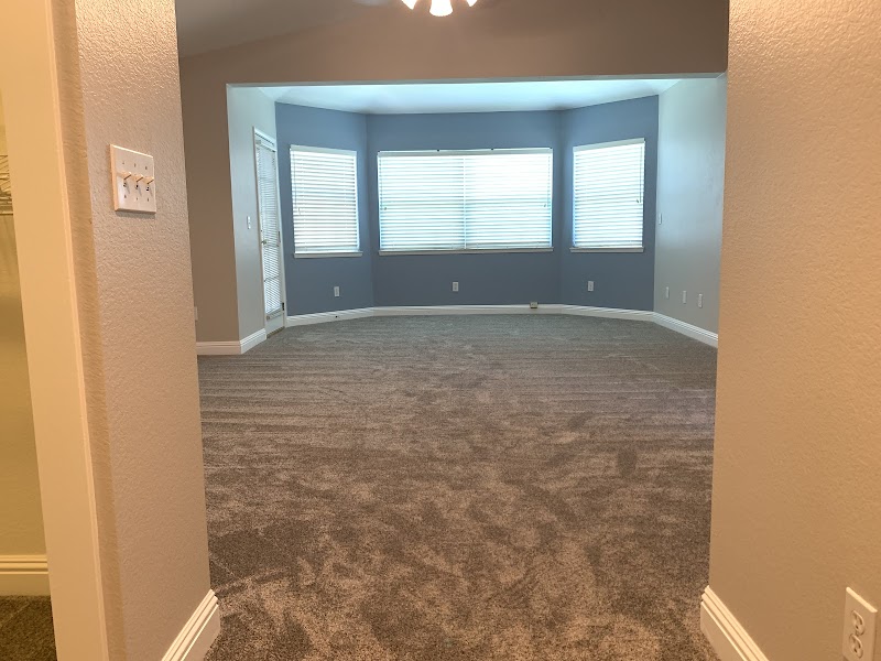 Freshly installed plush gray carpet in a modern bedroom with blue accent walls